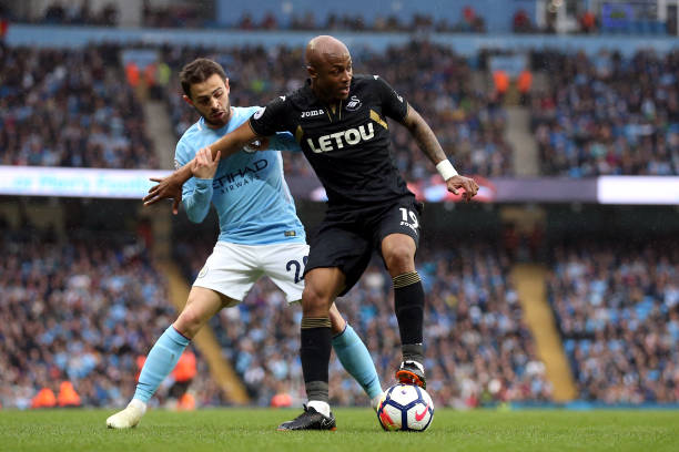 并引领了绿 并引领了绿